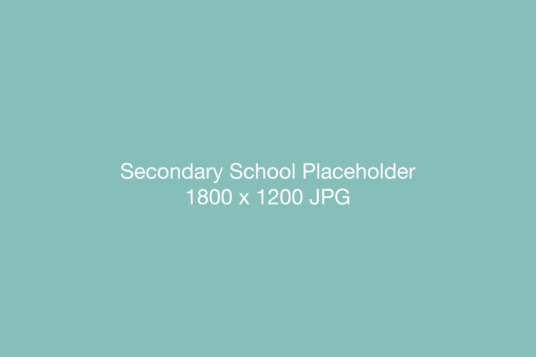 Secondary Placeholder