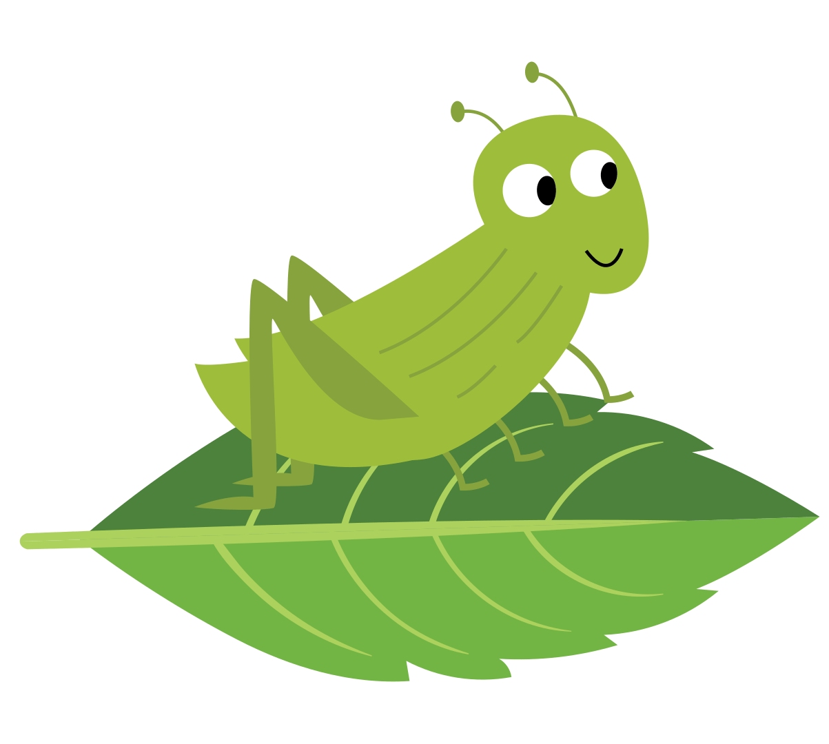 Grasshopper On A Leaf Min