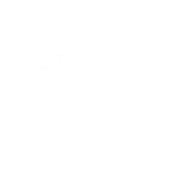 Play Action International