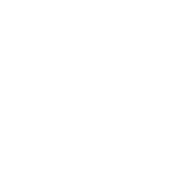 Open Minds Foundation