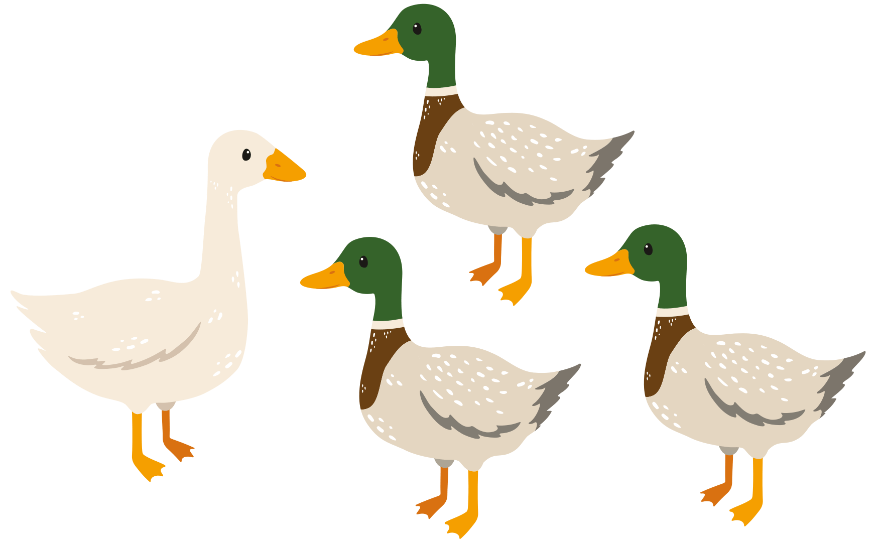 Ducks And A Goose Min