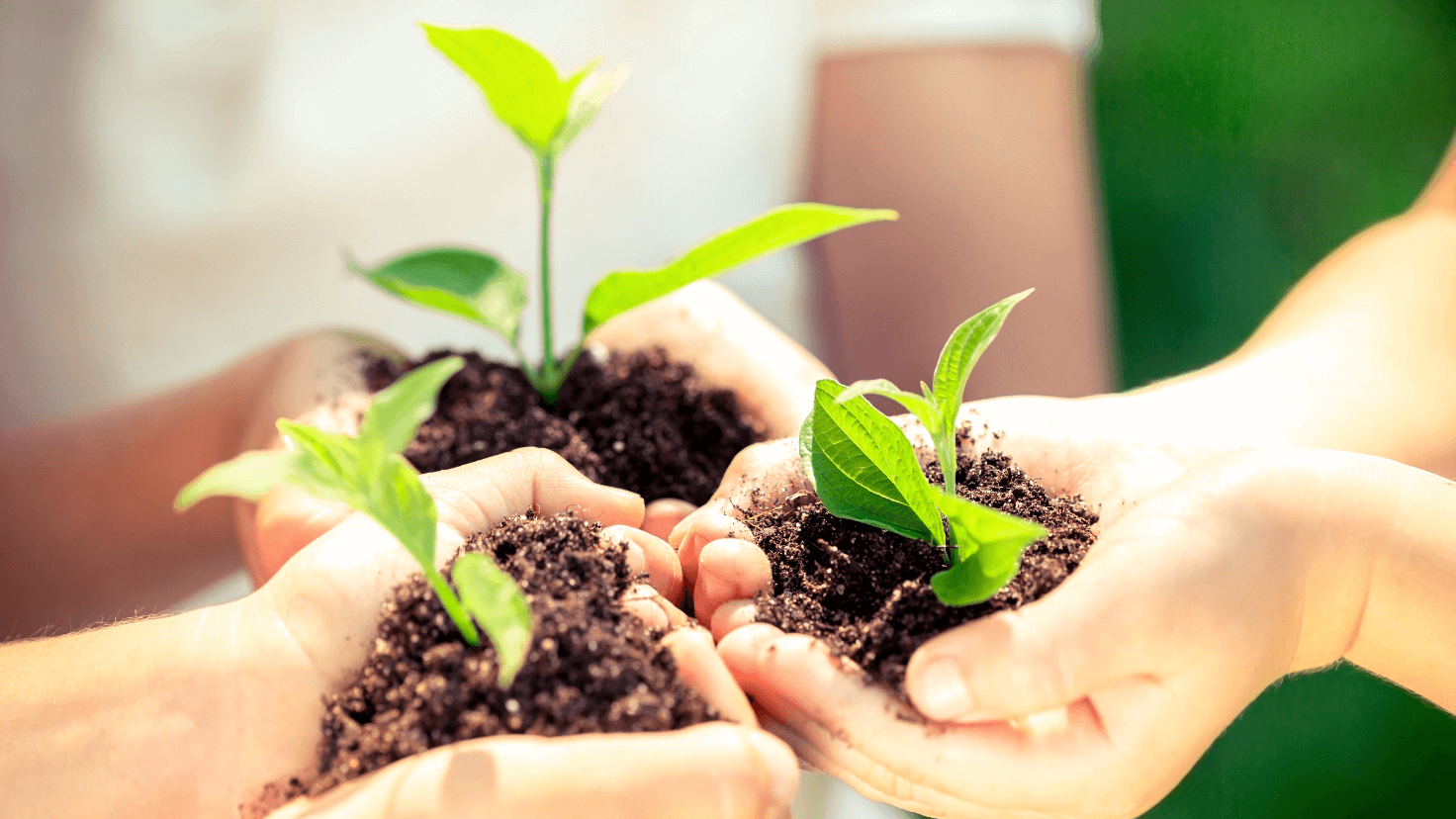 Children holding plants