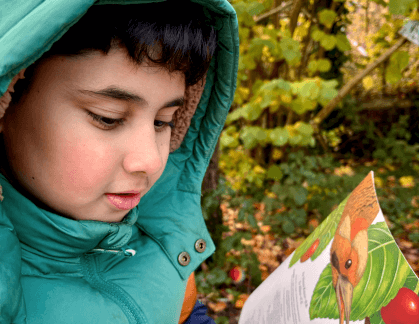 Close up of boys face reading